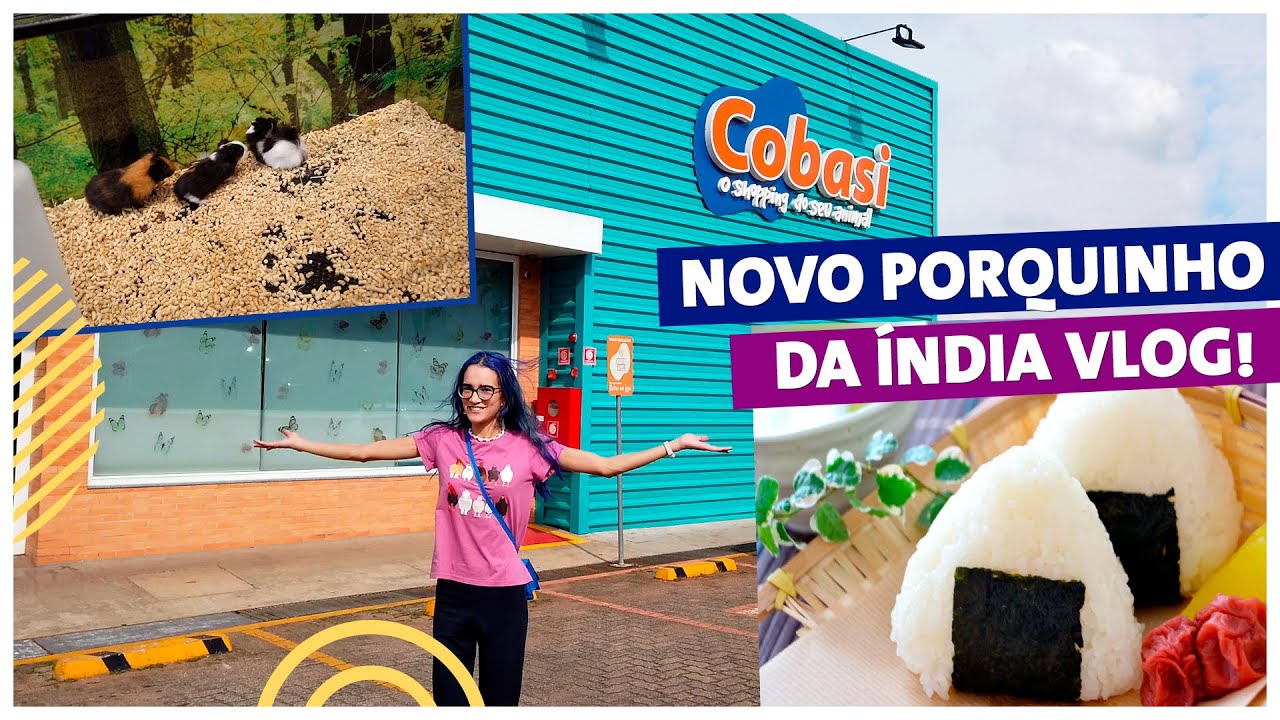 VLOG – NOVO PORQUINHO DA ÍNDIA + PRESENTES COBASI 🐹🎁