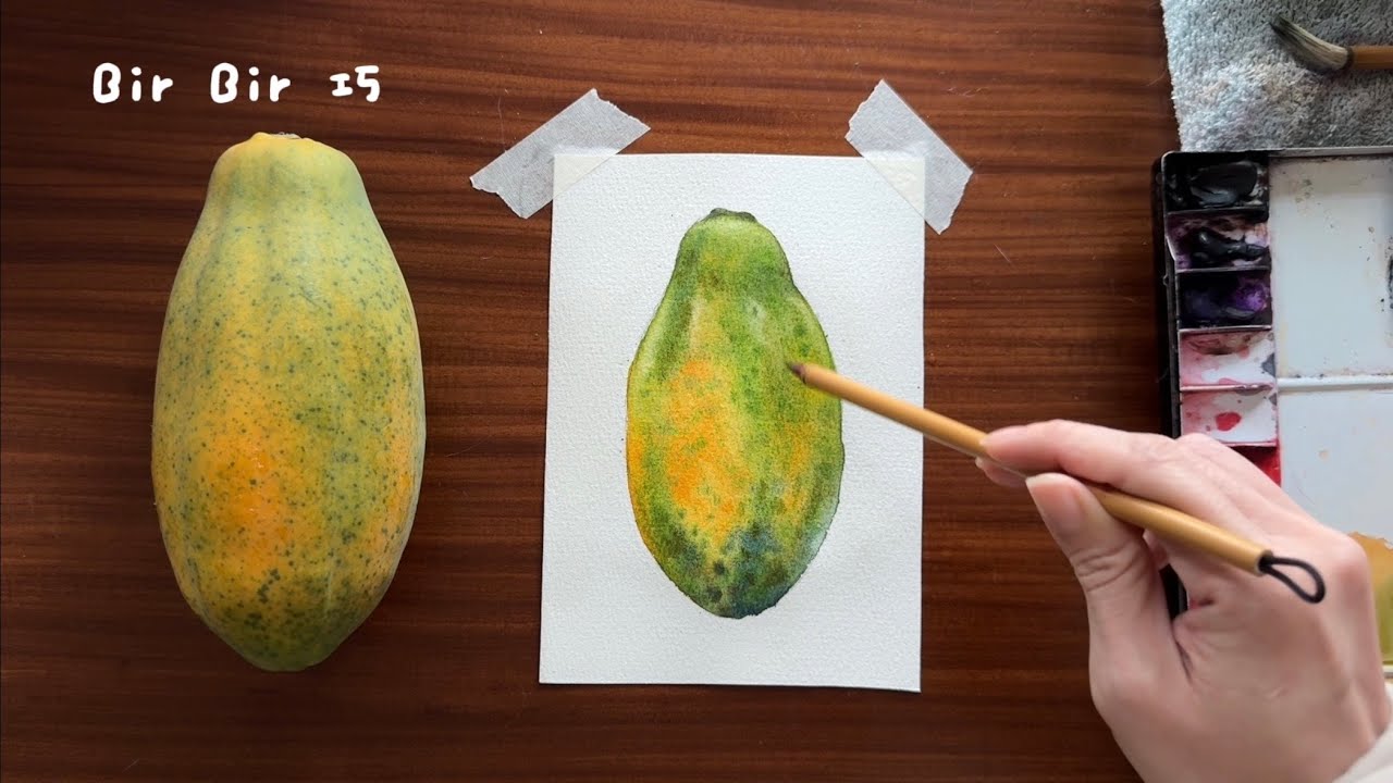 如何用水彩畫木瓜？陪伴繪畫療癒冥想音樂watercolor papaya