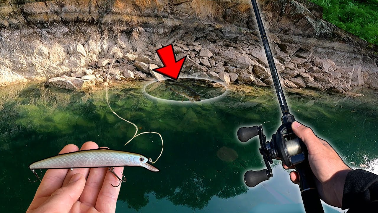 Je pêche 3 poissons records dans cet endroit splendide !