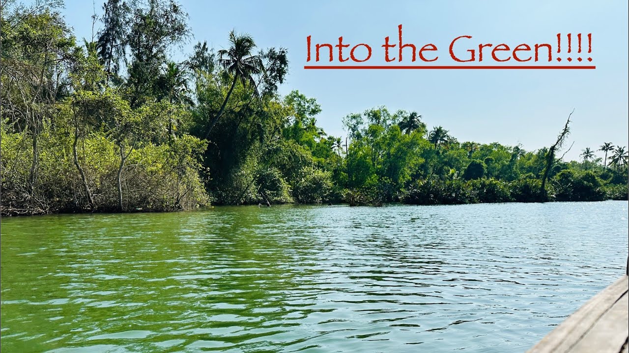 Varkala Mangroves in 4K | Peaceful Drive + Relaxing Music #varkala #mangroves #naturevibes #travel