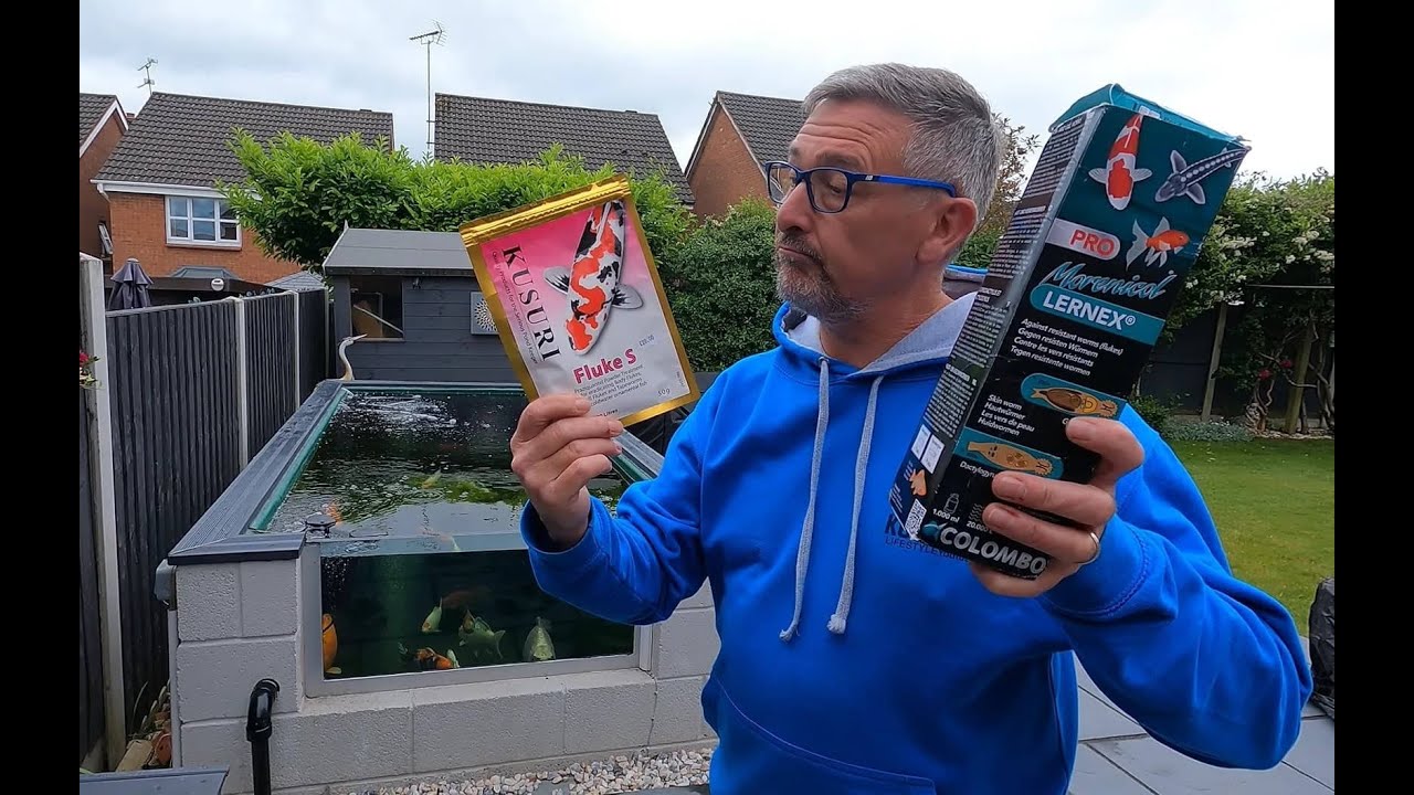 KOI FISH POND**WHAT IS THE BEST FLUKE TREATMENT FOR MY POND??🤔**FISH SCRAPPING**WATER TESTS*😉👍