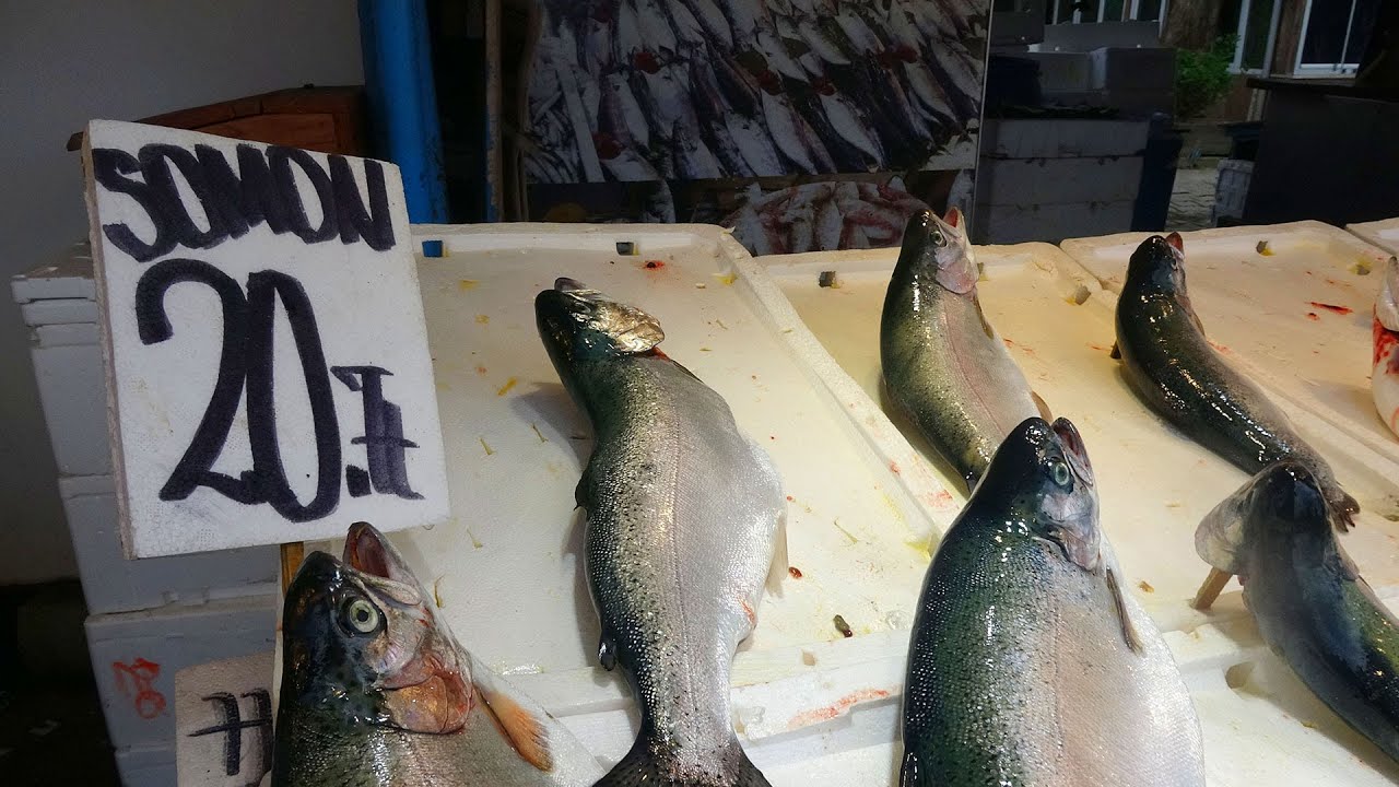 Karadeniz’de yetiştirilen somon sağlık dostu