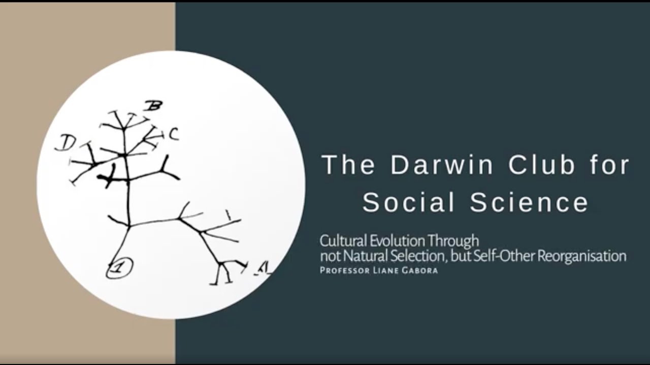 Cultural Evolution through, not Natural Selection but Self-Other Reorganisation