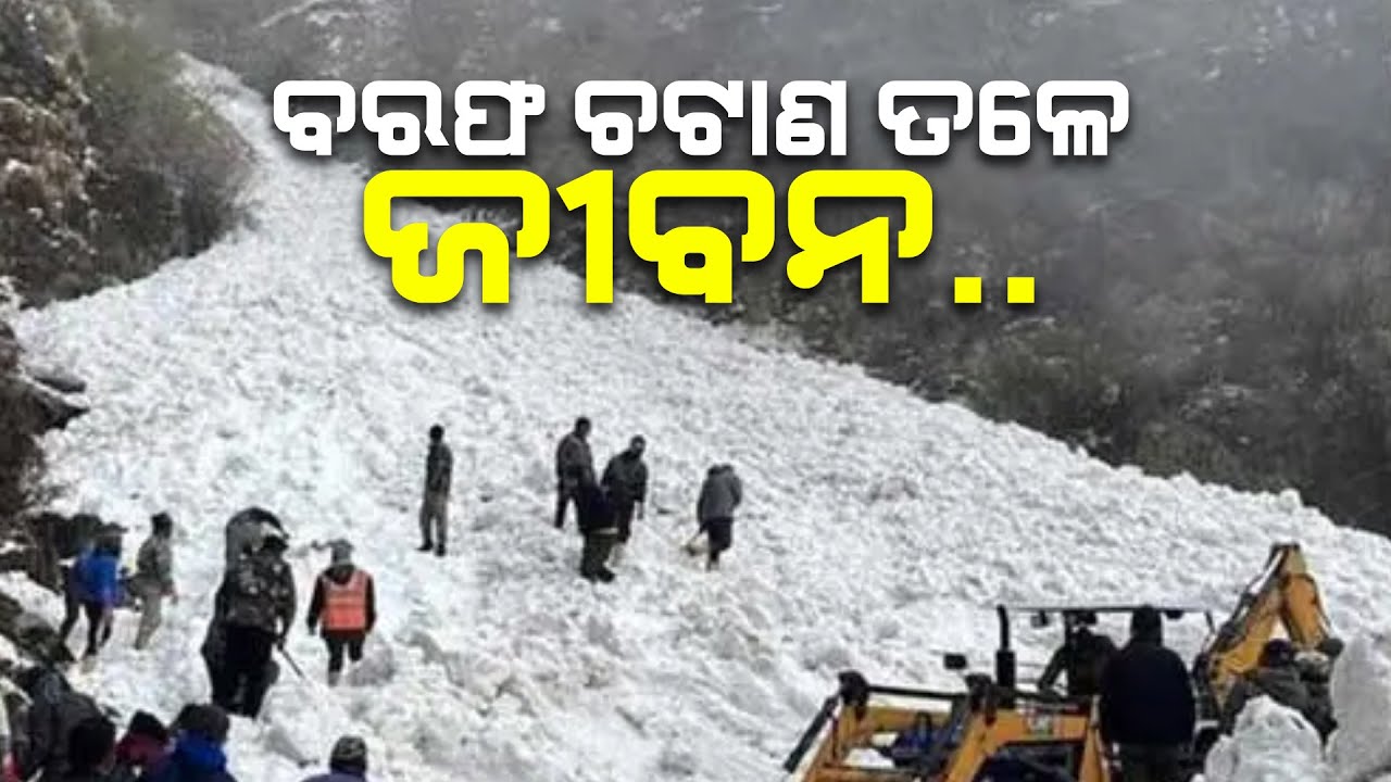Eight Tourists Dead, Several Feared Trapped As Avalanche Hits Nathula In Gangtok