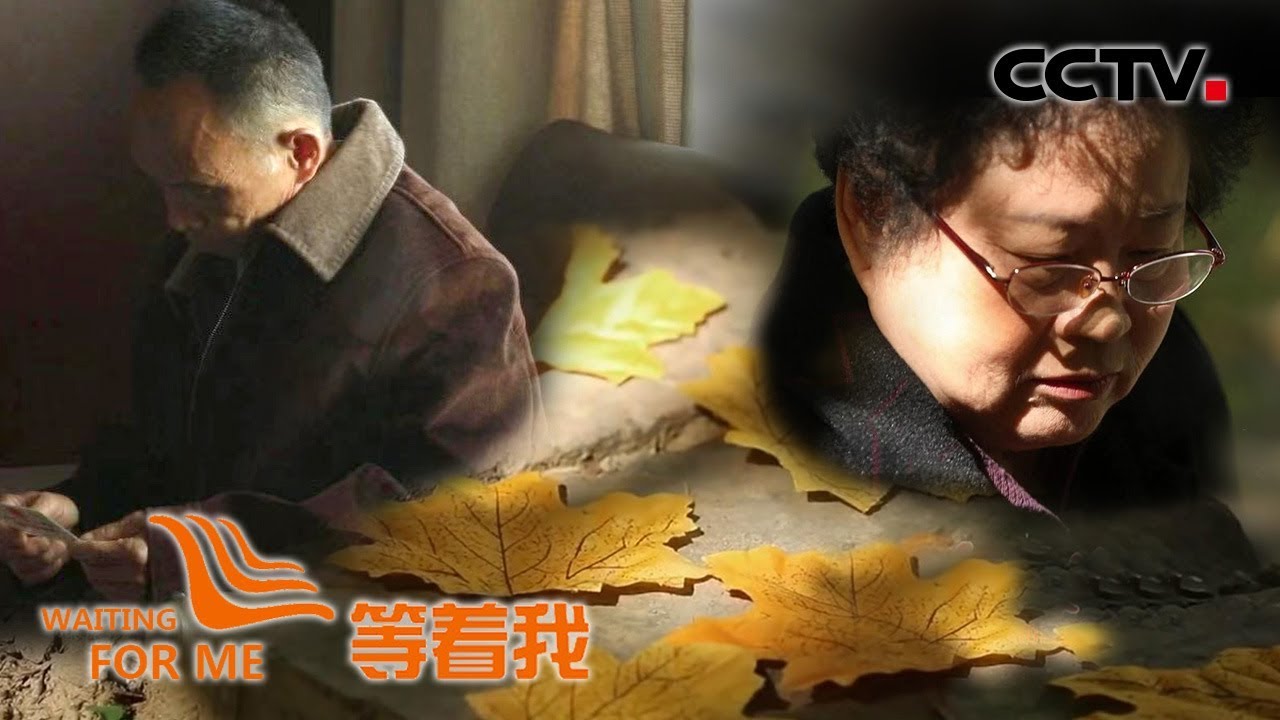 《等着我》古稀老人落叶寻根 痴情老汉盼“傻”妻回家 20191126 | CCTV