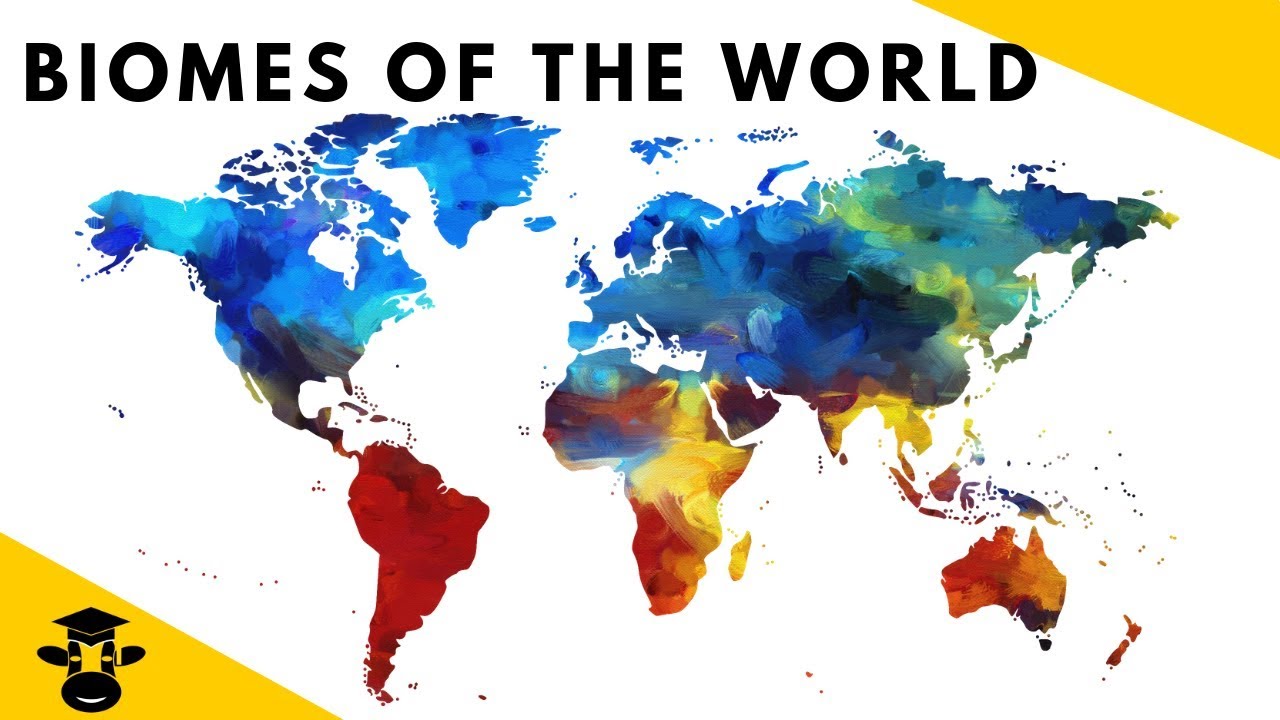 7 Biomes of the World Facts