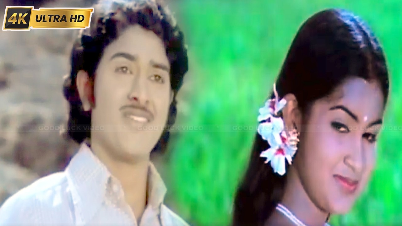 கிழக்கே போகும் ரயில் திரைப்படத்தின் பாடல்கள் | Kizhakke Pogum Rayil Full Songs | Ilayaraja .