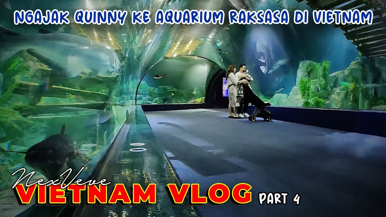 NGAJAK QUINNY KE AQUARIUM TERBESAR DI HANOI | VIETNAM TRIP #4