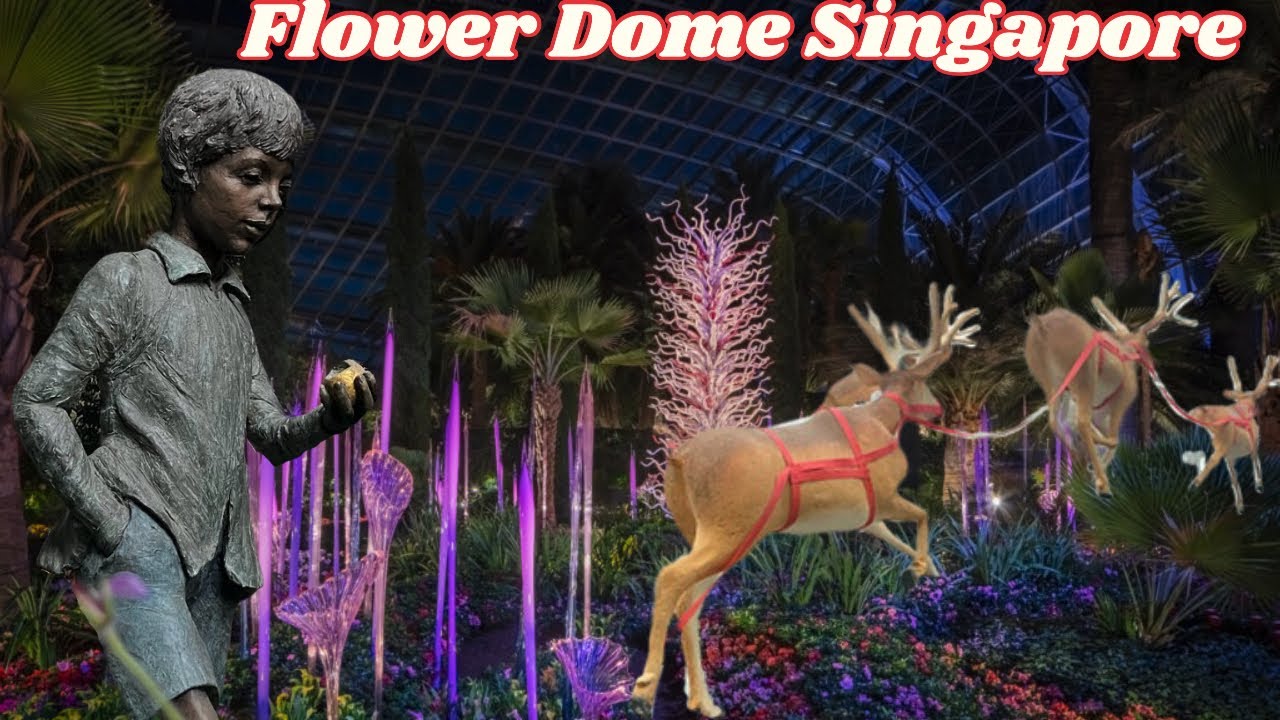 Flower Dome Cloud Forest #flowerdome #singapore #flowerdome
