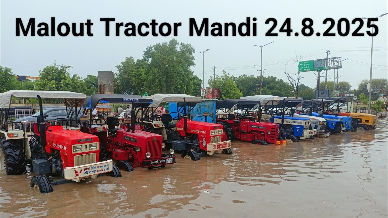 Malout Tractor Mandi 24.8.2025// ਮਲੋਟ ਟਰੈਕਟਰ ਮੰਡੀ ll #secondhandtractor 