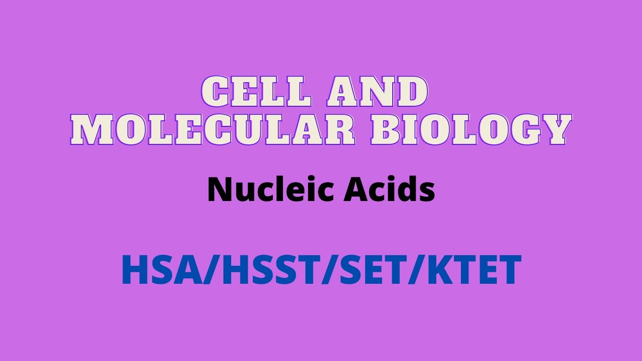 Cell and Molecular Biology - Nucleic Acids, DNA