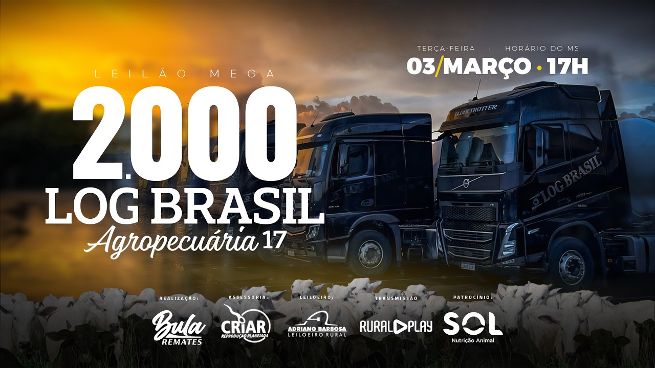LEILÃO MEGA 2000 LOG BRASIL - CAMPO GRANDE/MS - RURALPLAY