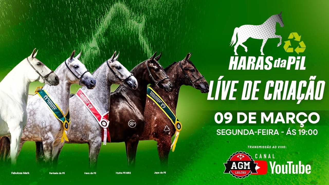 LIVE DE CRIAÇÃO - HARAS DA PIL
