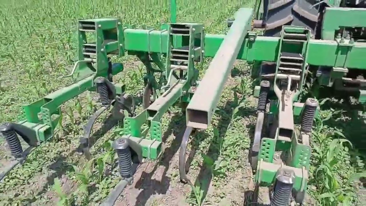 Row Cultivating Organic Corn with a Deere 856 Cultivator - Deshierbando el campo