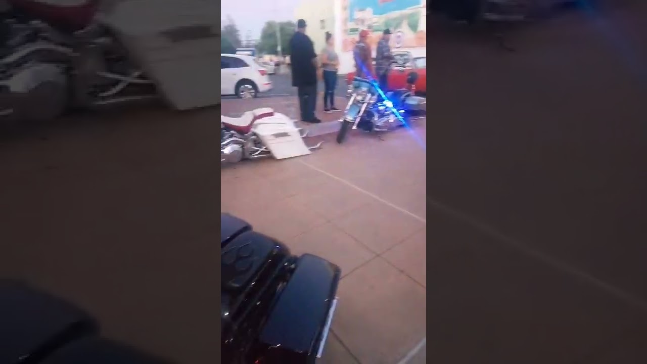 Harleys #lowrider vliclas #shorts #2022 #lowriders #cruise
