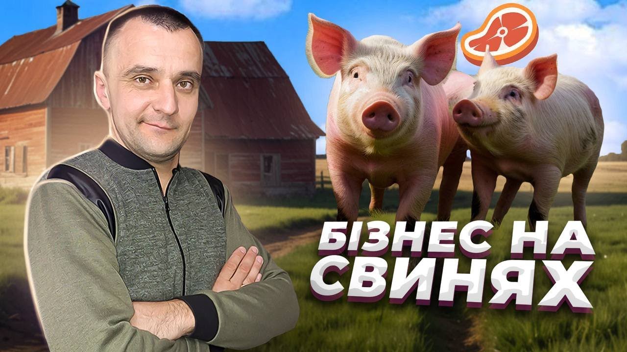 ЯК TIKTOK ДОПОМІГ СТВОРИТИ ФЕРМУ?  ЗАРОБІТОК НА СВИНЯХ