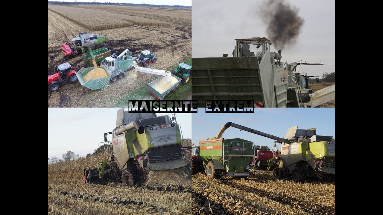 Maisernte Extrem||CCM||Lexion560||Lexion540||Fendt||Stapel||Mf||Deutz||DJI||Sony