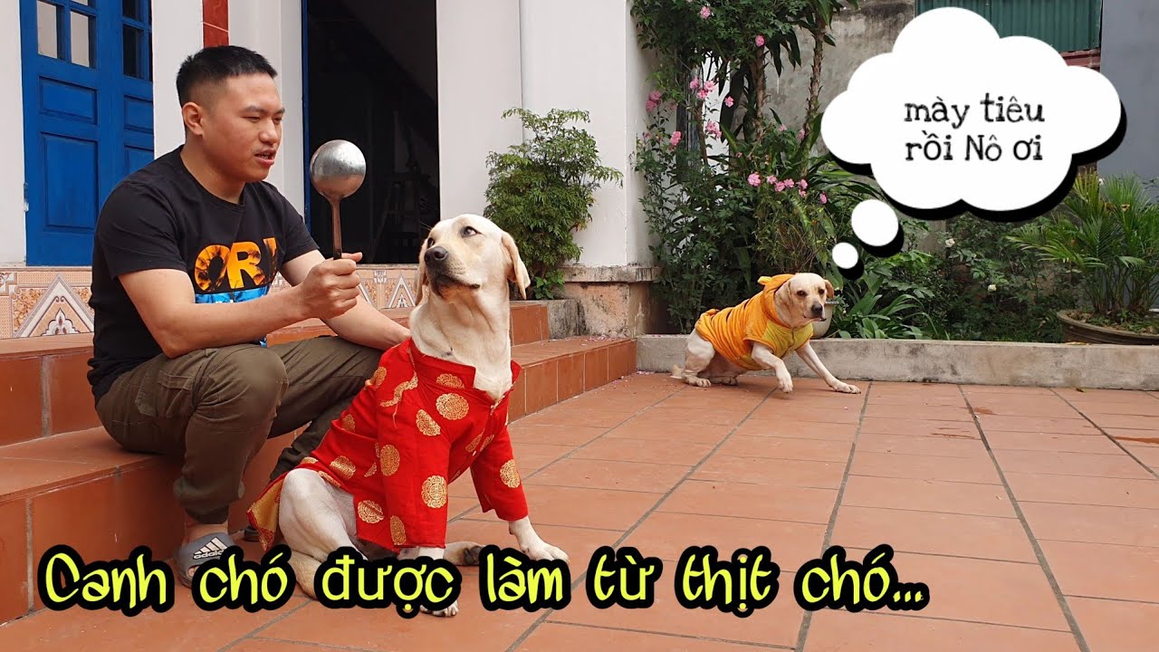 Củ Cải tức giận khi nghe Canh chó được làm từ thịt chó - Nhìn lại những kỉ niệm ở quê ăn Tết