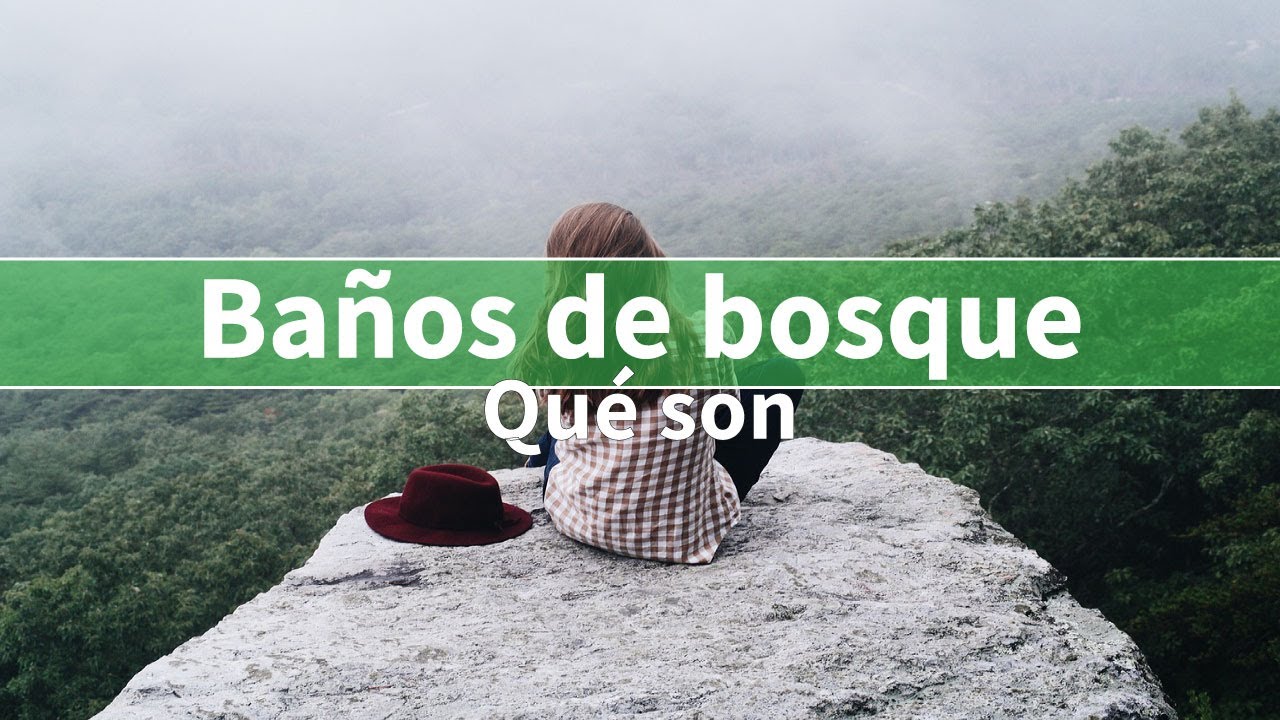 Ba&ntilde;os de bosque | QU&Eacute; SON, C&Oacute;MO SE PRACTICAN, HISTORIA