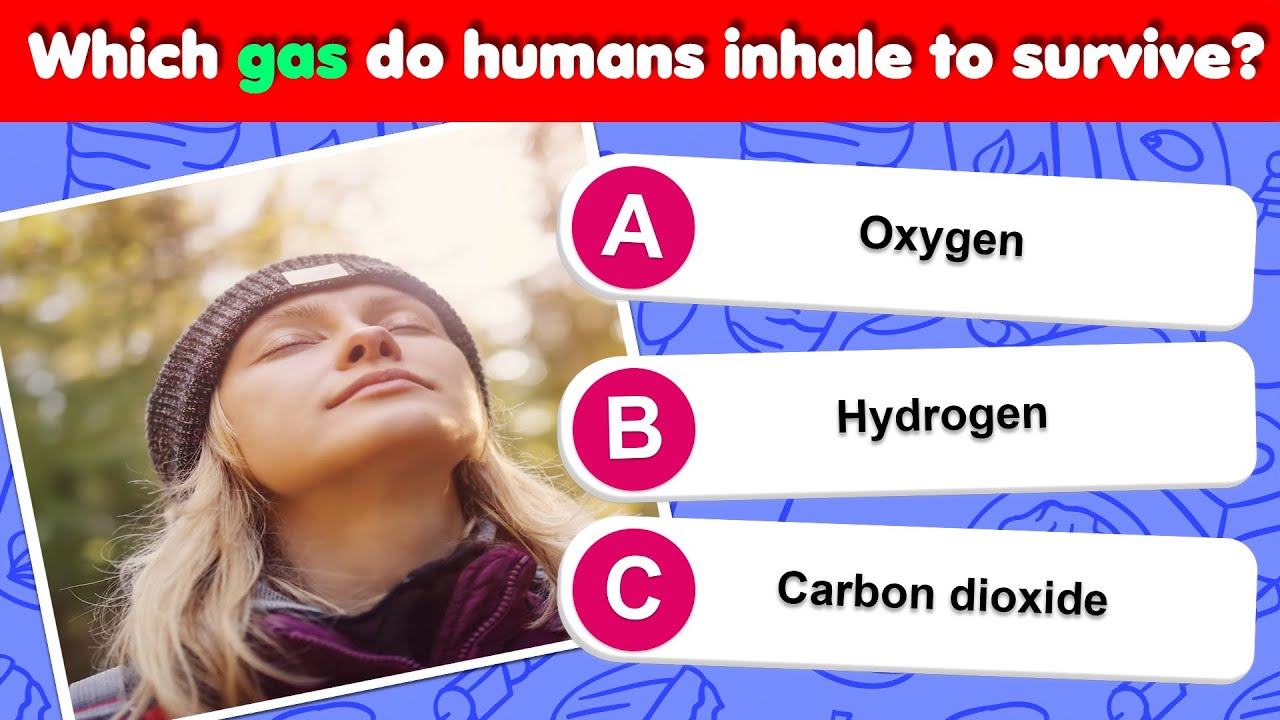 Can You Pass This General Knowledge Quiz? 🤔| Trivia Questions! 🧠