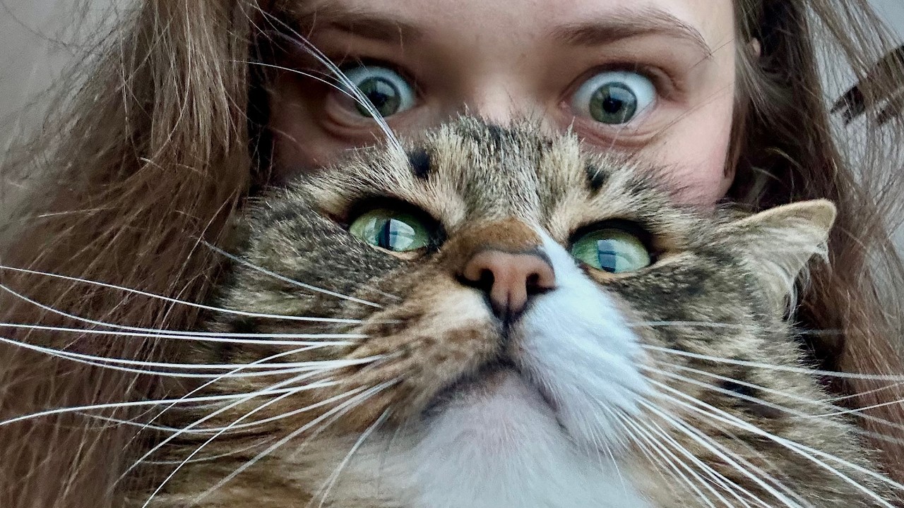 Just Me and My Cat | Cozy Days Vlog