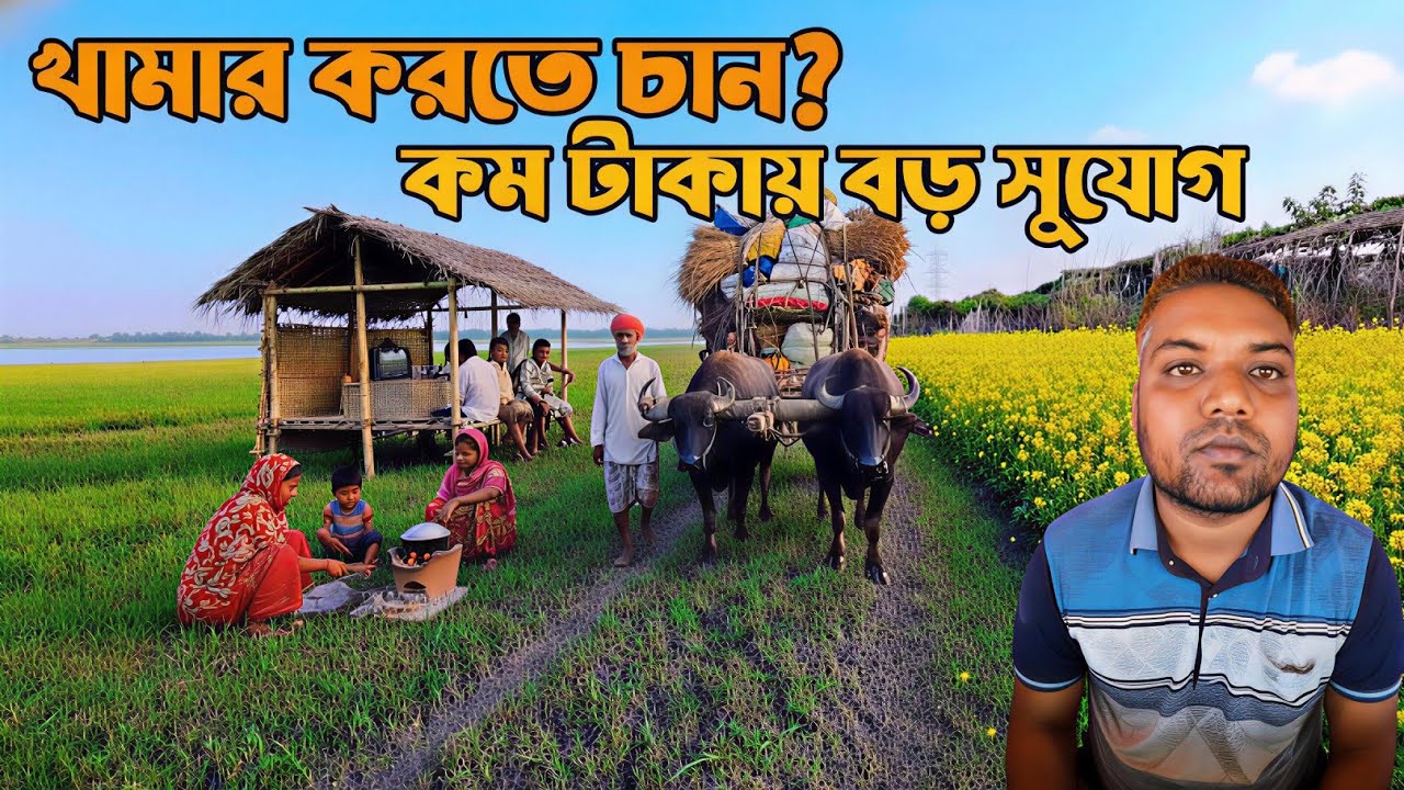 শহরের কোলাহল ছেড়ে সস্তা জমিতে নতুন জীবন | বাংলার চর এলাকার গল্প