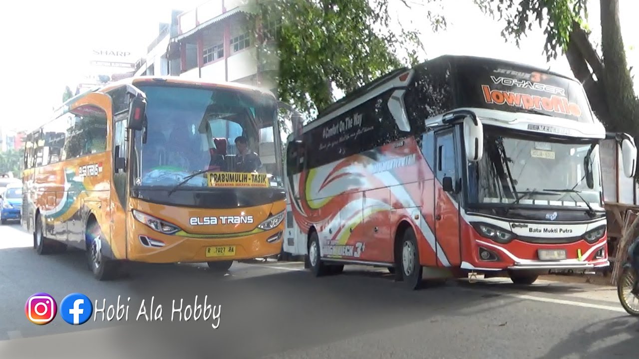 PEMAIN BARU SUMATERA JAWA || ELSA TRANS || BATU MUKTI PUTRA