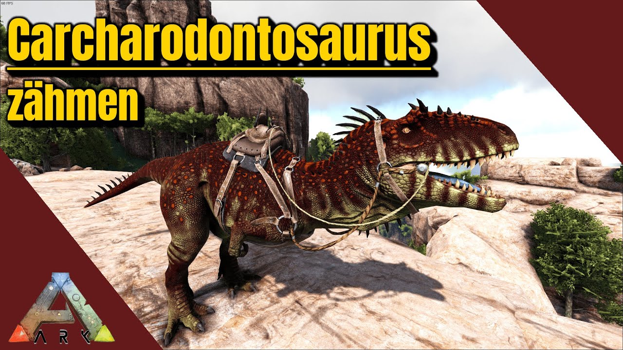 Ark survival evolved - Carcharodontosaurus zähmen (solo/2024)