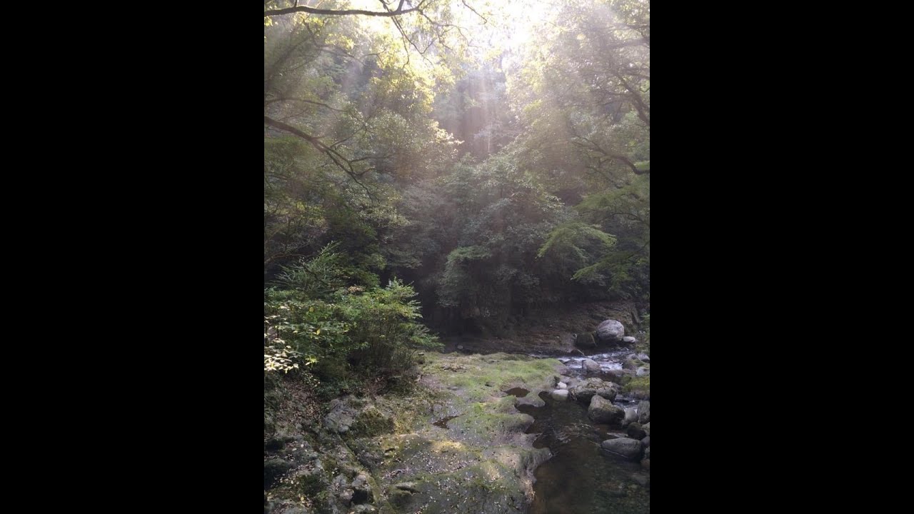 【第20回】介護する上で大切な相手をみるということ(何を言うかよりも何を言わないか）夏希優太の介護に光を照らすfeat都章