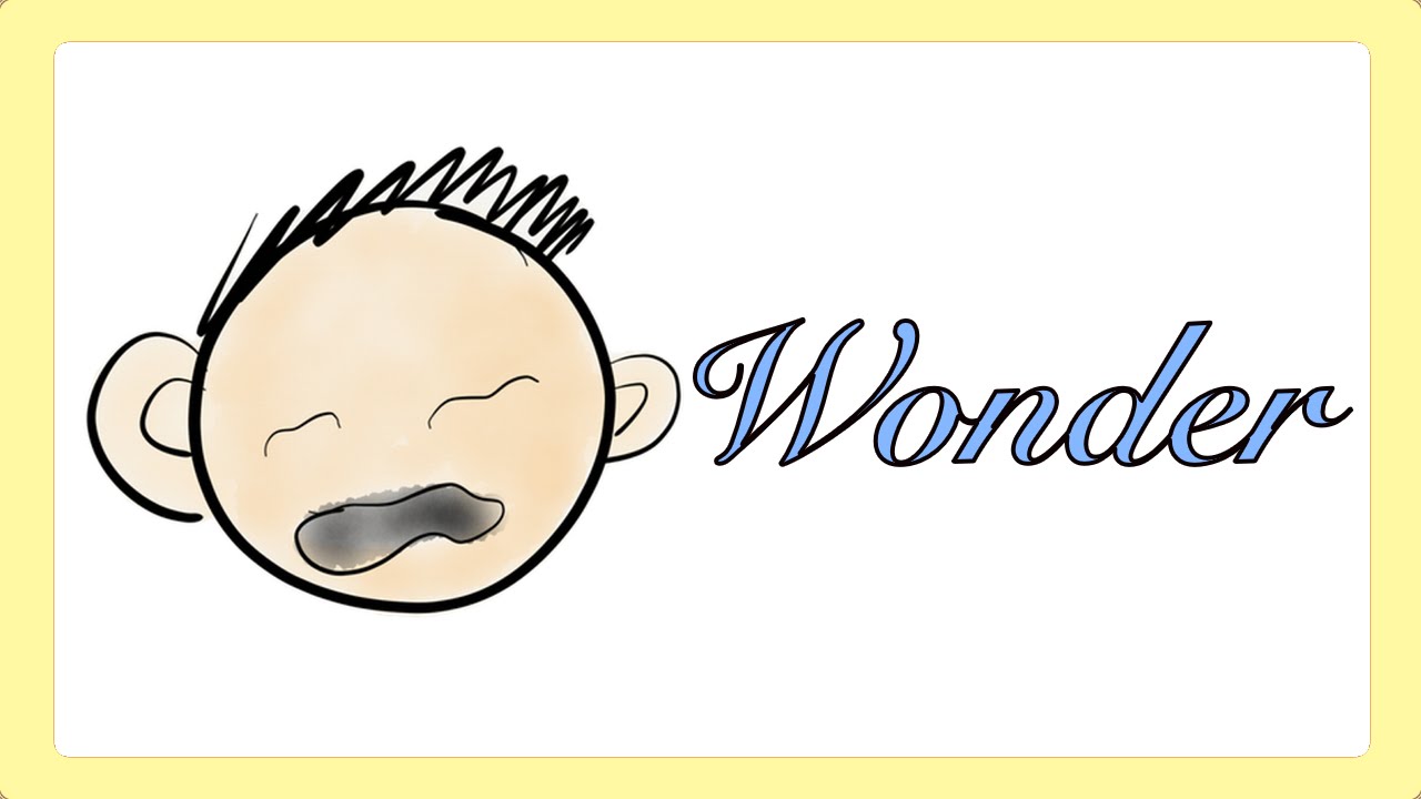 Wonder by R.J. Palacio (Book Summary) - Minute Book Report