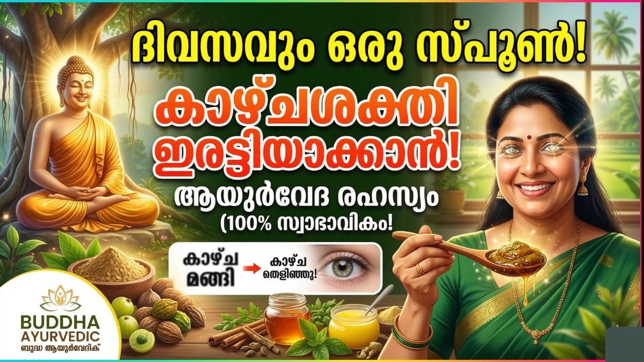 ദിവസവും ഒരു സ്പൂൺ! കാഴ്ചശക്തി ഇരട്ടിയാക്കാൻ ആയുർവേദ രഹസ്യം |  Buddha Ayurvedic Eye Care Malayalam