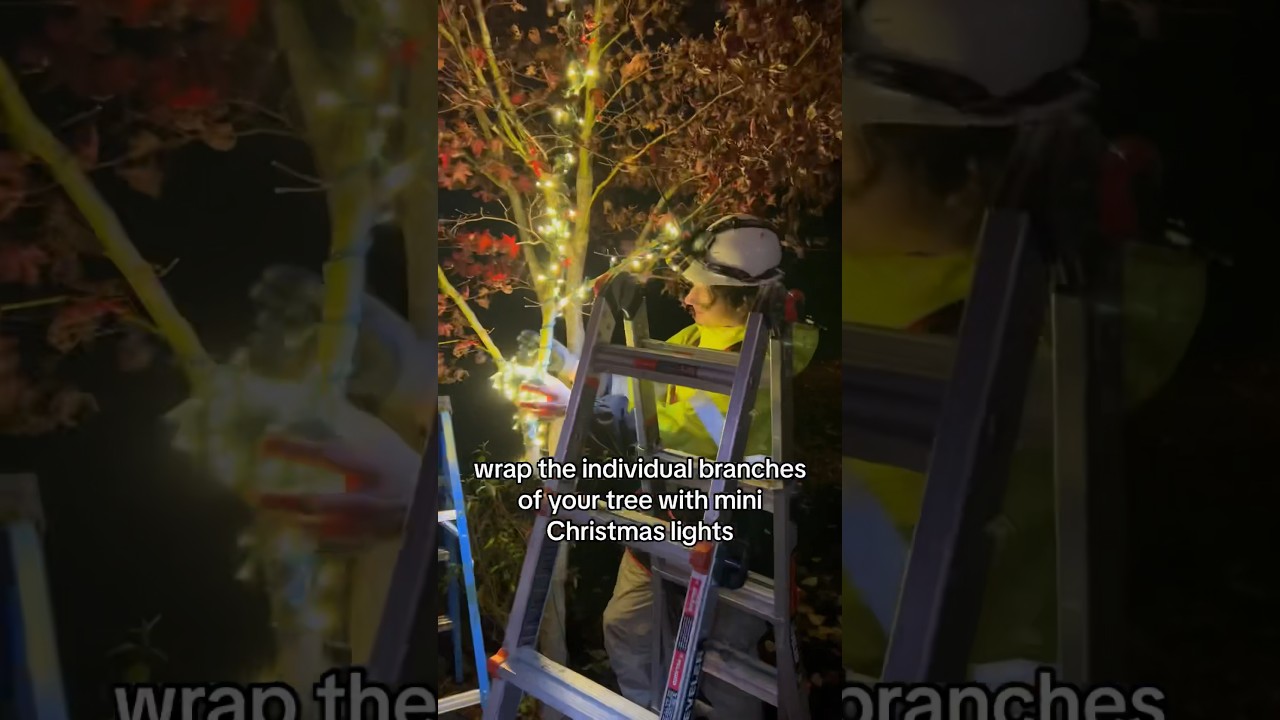 How to Decorate Trees with Christmas Lights #xmaslights #christmasdecorations