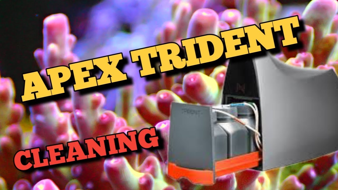 Neptune Apex Trident | Чистка и обслуживание