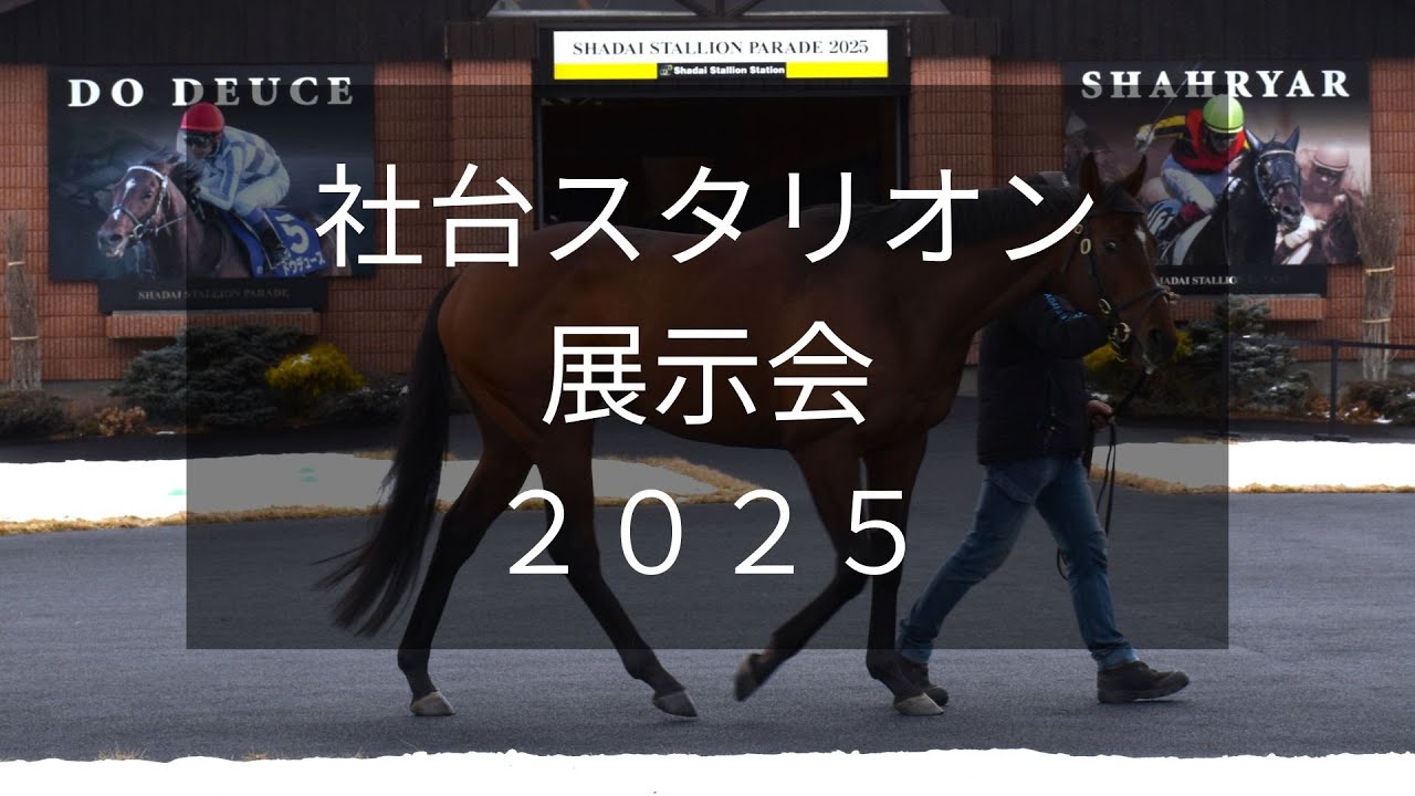 【社台スタリオン展示会2025】ドウデュースやシャフリヤールなど30頭が登場！