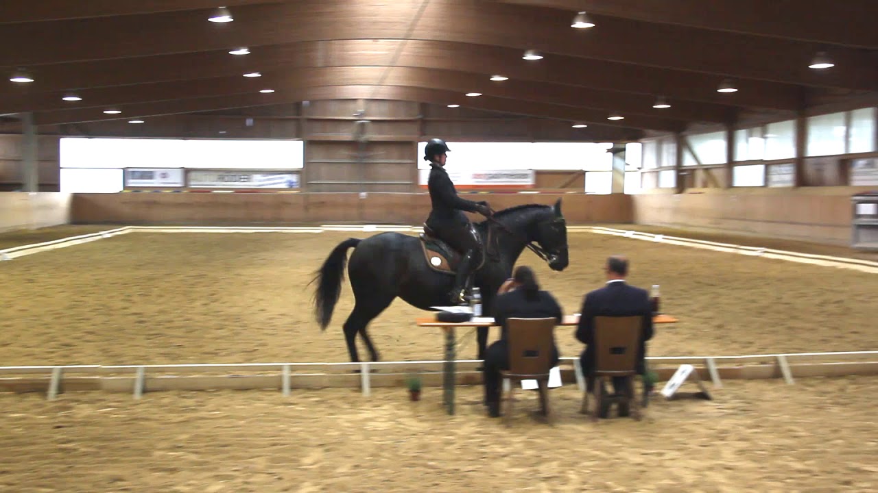 Working Equitation Dressur M, Freystadt 2018