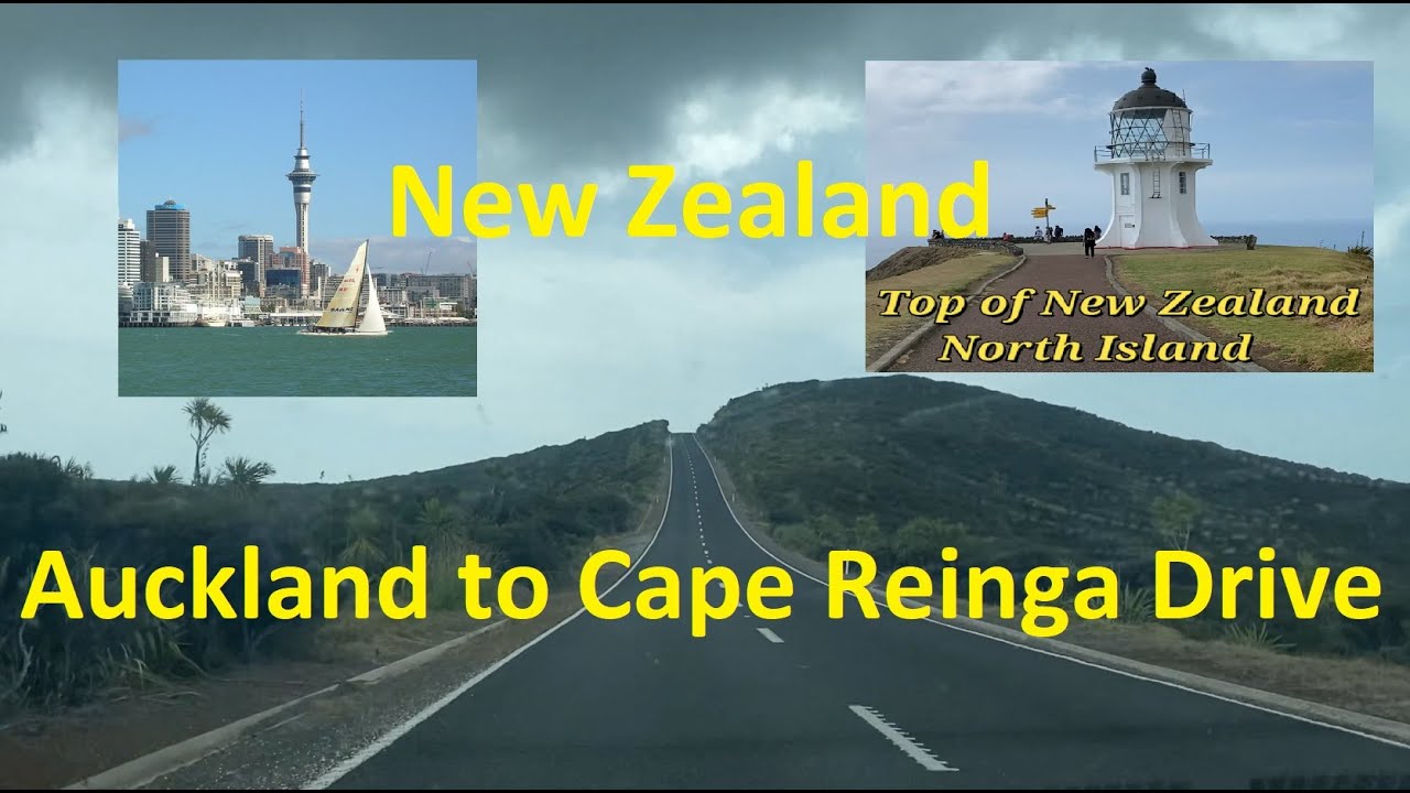 Auckland to Cape Reinga Drive