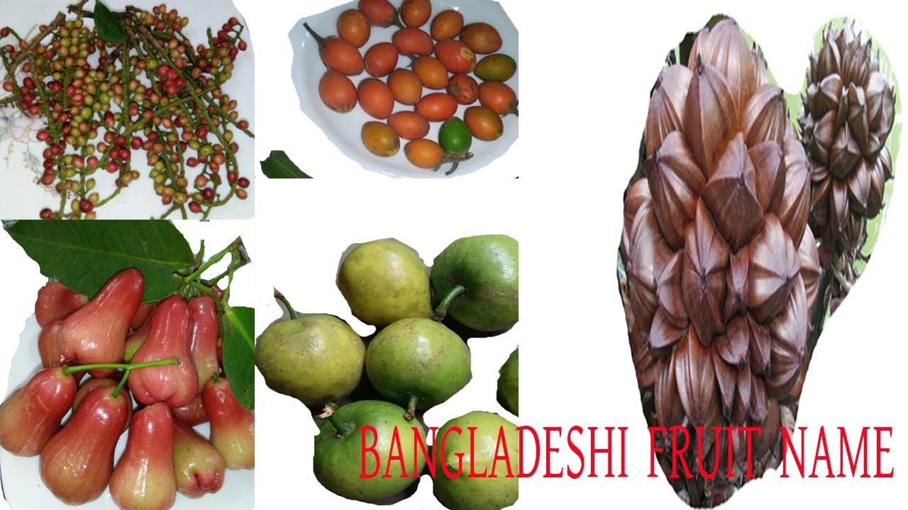 বাংলাদেশী কিছু ফল চিনে রাখুন/Bangladeshi Fruits With Their Bangla Name/Bangladeshi Rare Fruits Name
