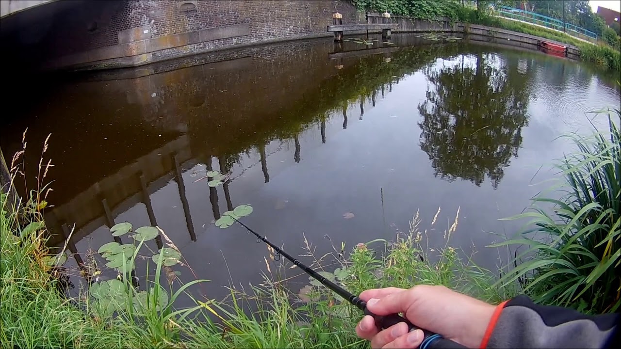022# Live aanbeet snoekje van 40cm