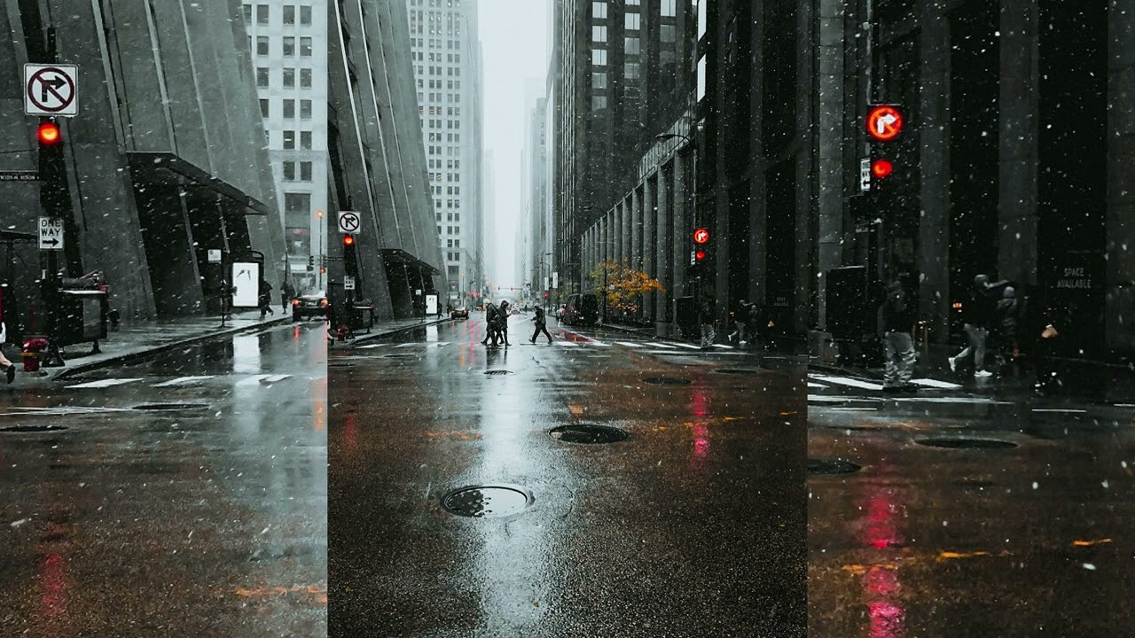 A Quiet Rainy Night 🌧️ 3 Hours of Calm Forest Sleep Sounds