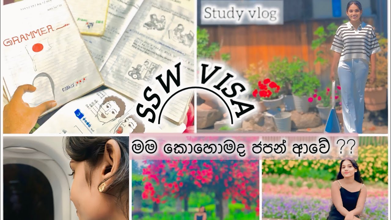 Study Vlog _🇯🇵_මම කොහොමද ජපන් ආවේ ? SSW VISA කියන්නෙ මොකක්ද ?