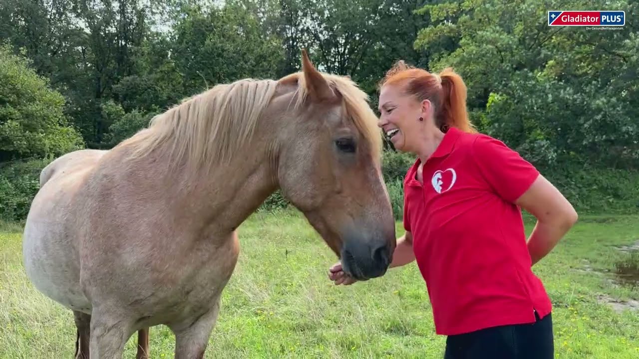 Kolik beim Pferd: Warum Vorbeugung entscheidend ist