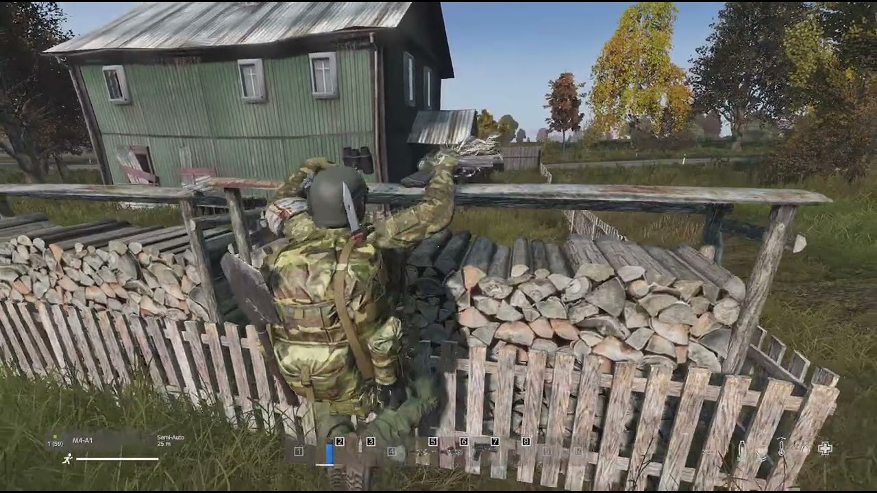 DayZ ps5 loads of wolves