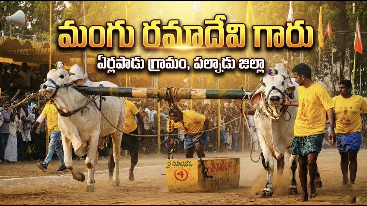 🚩4/2/2026 నాదెండ్ల న్యూ కేటగిరి 7 జత మంగు రమాదేవి గారు ఏర్లపాడు సర్పంచ్