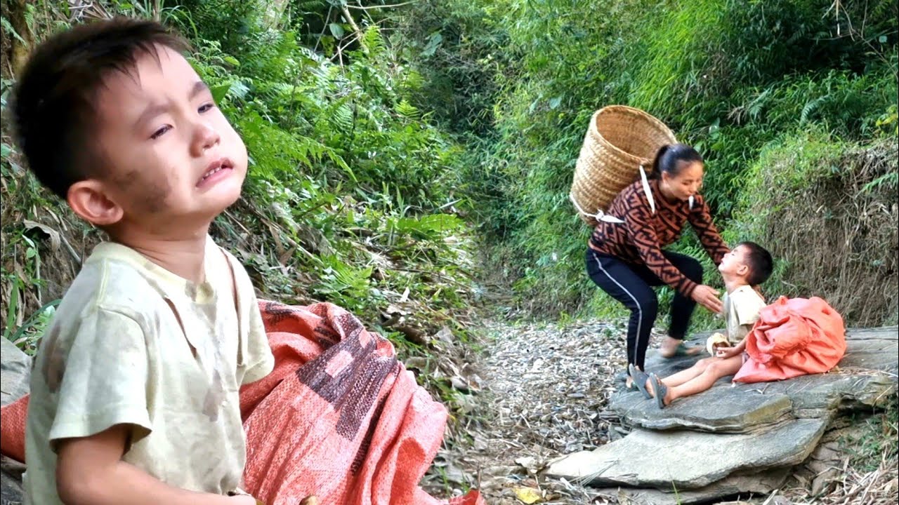 Harvesting fruit palm go to market the to sell at the market - save an abandoned child.