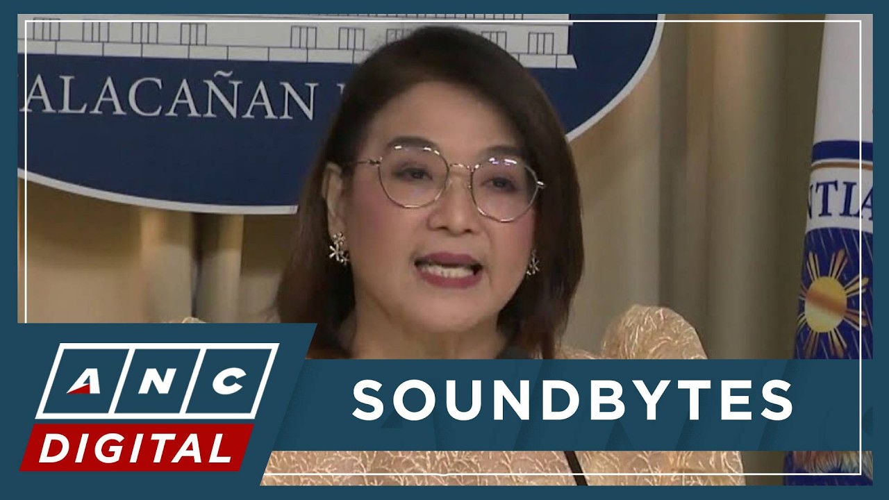 Palace cites Winnie Monsod: 'Defensor has history of influencing or making witnesses disappear' |ANC