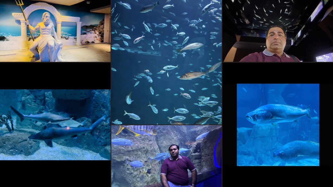 Turkey Biggest Fish Aquarium in Marmara Amazing and Beautiful Fishies  