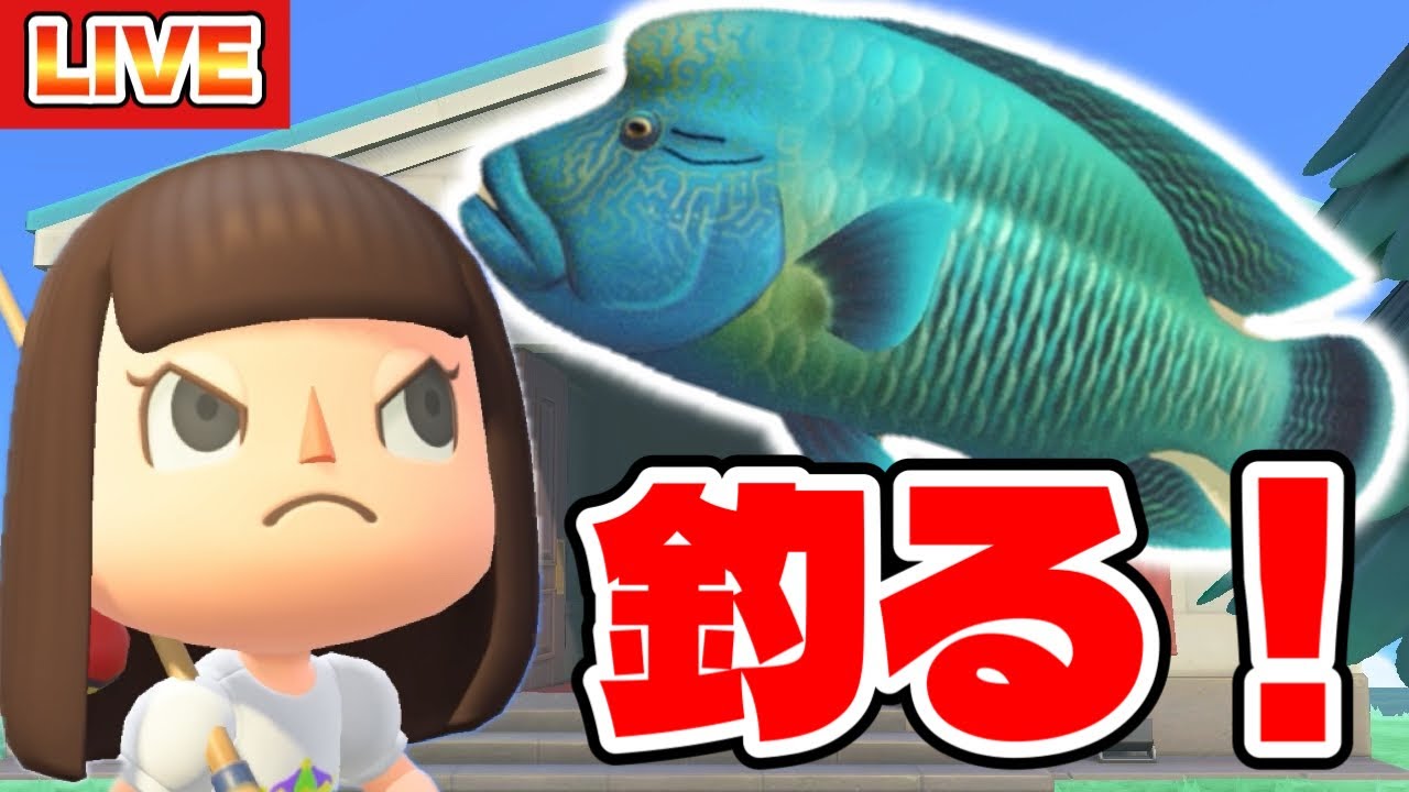 【あつ森】絶対に釣らなければいけない魚がそこにいる！！！【あつまれどうぶつの森生配信】