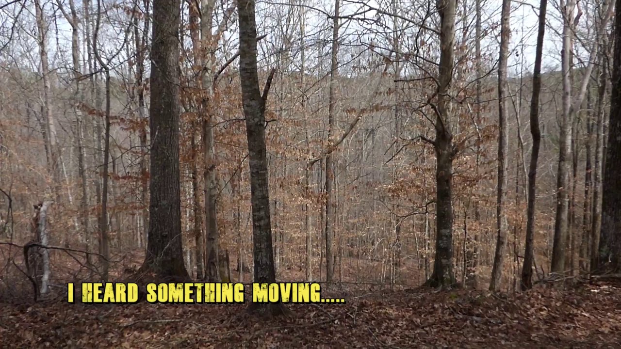Alabama Bigfoot Graveyards and Bigfoot