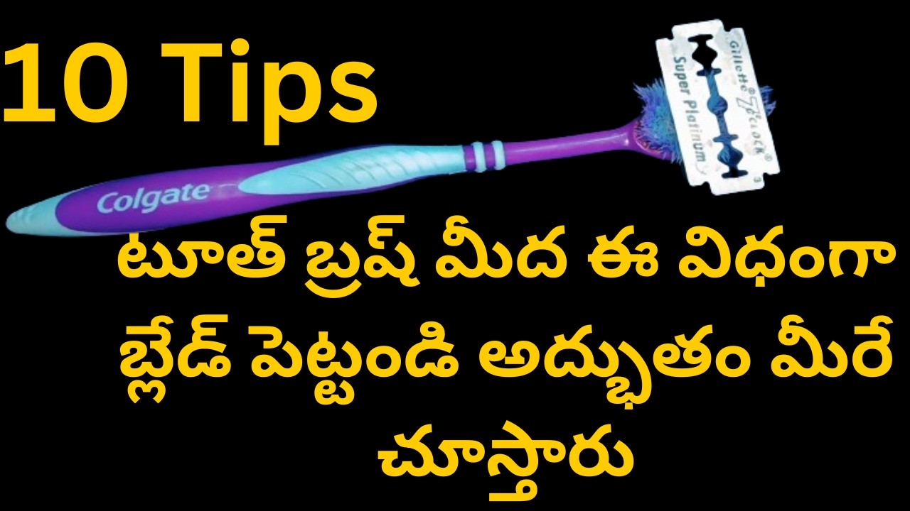 💡10 No Cost Organizer||Old Tooth Brush reuse idea's