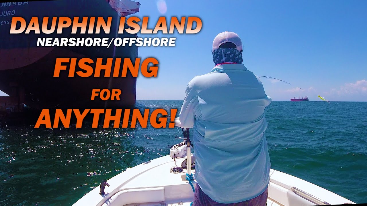 Dauphin Island - Nearshore/Offshore fishing for anything!